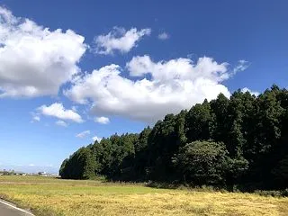 用水路で川釣りしてきた。