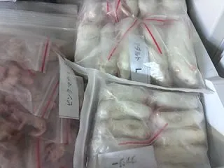 入荷しました