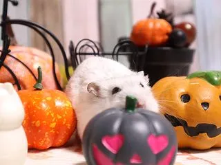 なんかちょっと