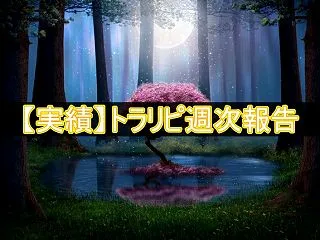 【558週目】2025年10月12日週の…