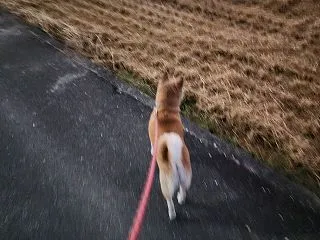 10月17日 福岡県小郡市Ⅰ様リフォーム…