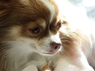 1日目の失敗。