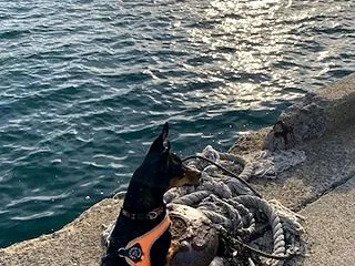 対症療法のふたり