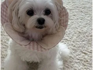 マルプーののあちゃん♪