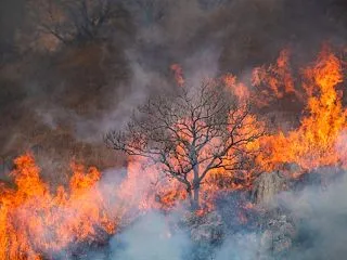 シンガポールの空気汚染が深刻化