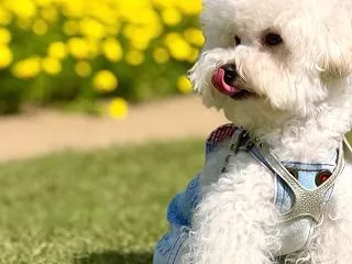 bebe＆coco (*^^*) お花畑…