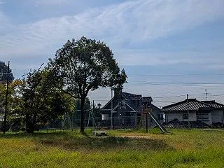  今日は珍しく、すがすがしい朝７時半ぐら…