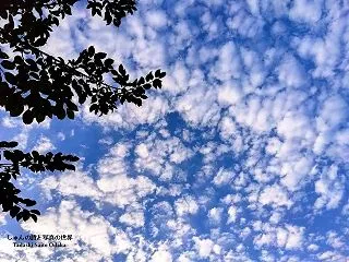 秋日和