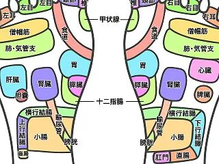【ご質問】かかとがガサガサしてると内臓が…