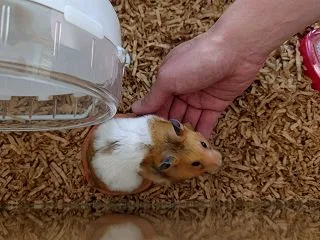 え…なんで…？