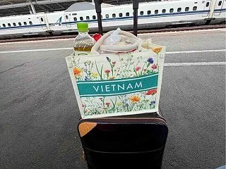 東京に来ています。