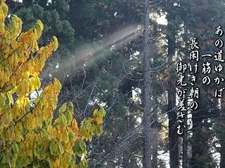 一関地方短歌会公式ホームページ作成
