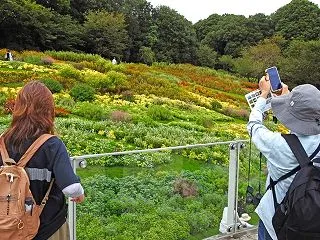 【講座実施報告】夏と秋のはざまで見たもの…
