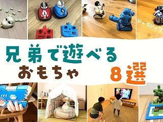 兄弟で遊べるおもちゃおすすめ8選｜対戦ラ…