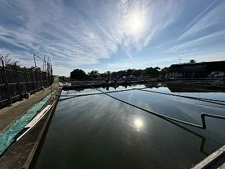  淀の釣天狗池 釣行記 10月17日(土…