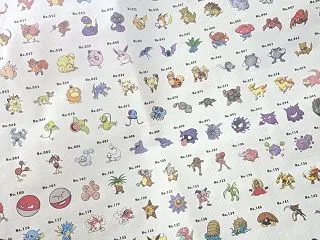 スリコ×ポケモンの受注販売♪