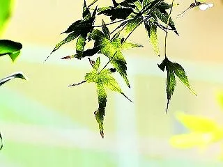 秋色進む