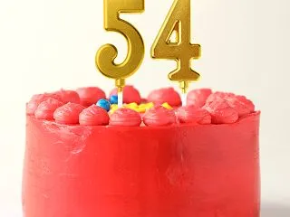 54歳になりました。全然完成してません