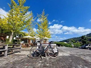 福富＞豊栄＞白竜湖
