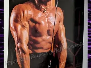 6441：MUSCLE ＆ FITNES…