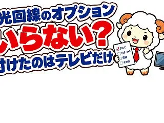 光回線のオプションはいらない？付けたのは…