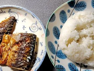 今日も働きました