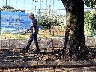 【ハナ＊うちに来て5年252日目】いつも…