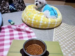 今日の太郎