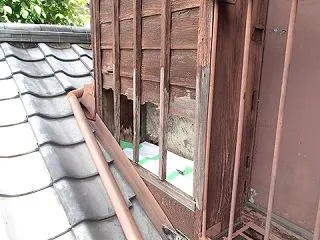 天井裏にやってくるハクビシン対策