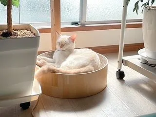 はじめての５連勤最終日