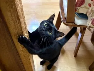 柱の傷