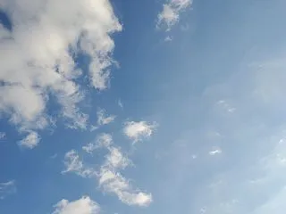 レクトに行った