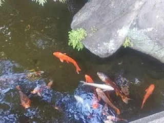 西新井大師