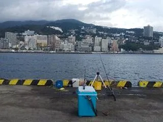 カマス