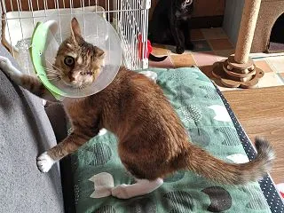 メメちゃん、ふれあいルーム２へ