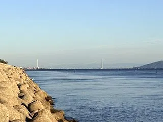 20261017 明石二見人工島 イカ