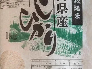 システムインテグレータから新潟県産こしひ…