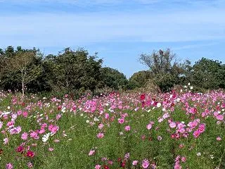 花まつり