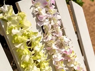 ハワイで祝う特別な日！ワイキキでそろうサ…