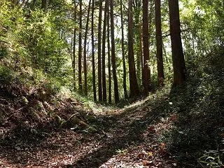 烏山 森田城 その１