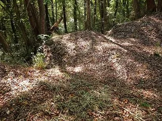 烏山 森田城 その２