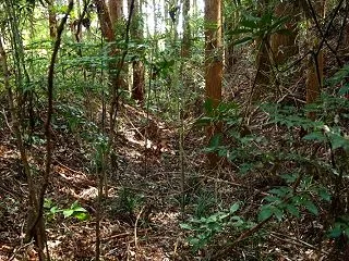 烏山 加登べ城