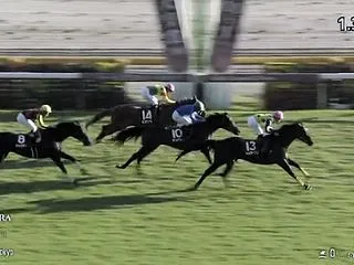 富士ステークスの予想