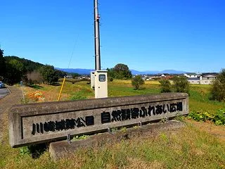 カワセミ君にも出会えたよ（川崎城址公園 …