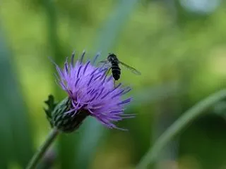 ただいま！