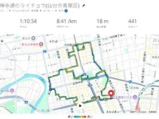 定禅寺通のライチョウ(仙台市青葉区)完走…