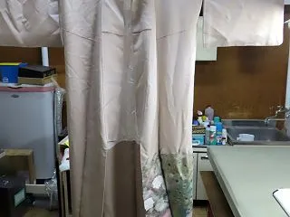 色留袖比翼付き 古い血液・脱色 洗い張り…