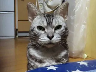 寒いと休業