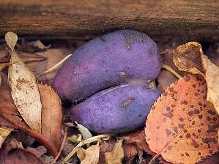 ★里山も徐々に秋っぽくなって...🍂 2…
