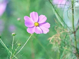便利さと漏洩のリスク